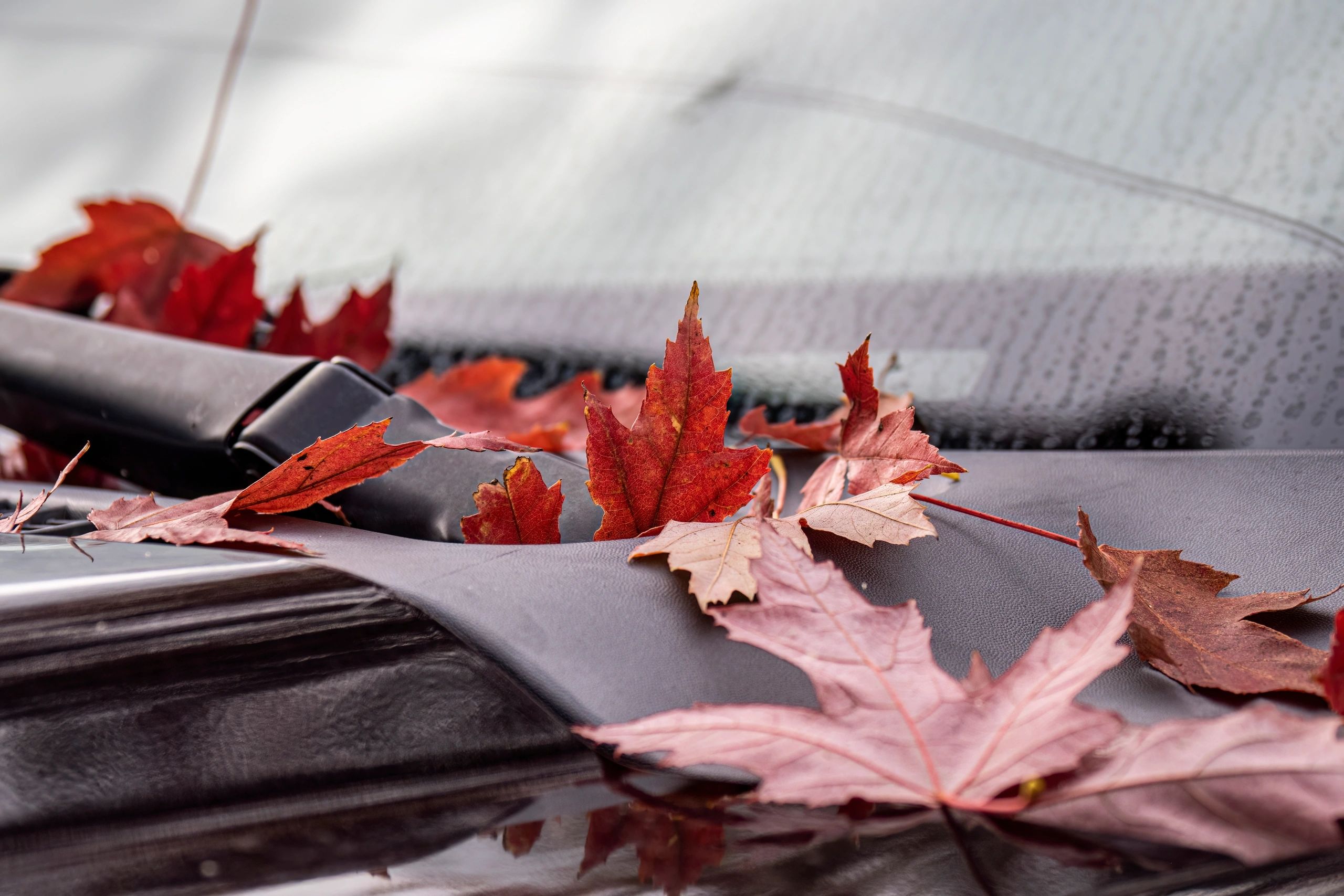 scrap car removal Coquitlam