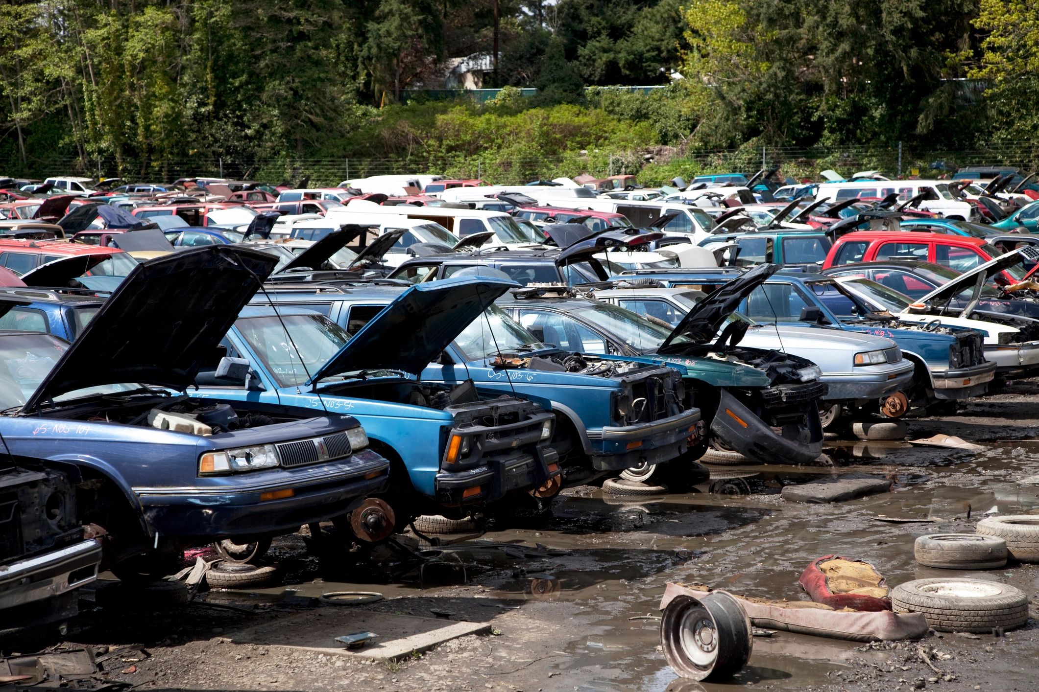 scrap car removal service Port Moody
